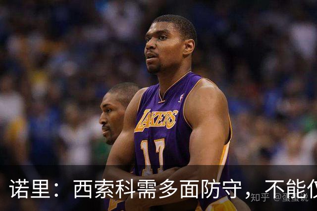 诺里：西索科需多面防守，不能仅强调增重